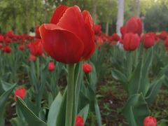 -长春公园(普阳街道)