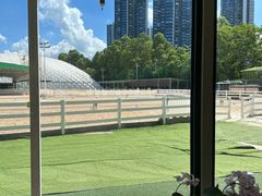 -名驭国际马术学院