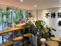-李小姐の猫咖啡馆(五角场店)