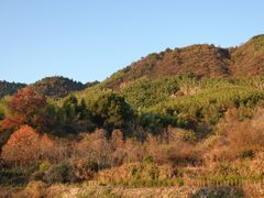 -塔川景区