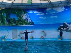 -尼莫海豚馆
