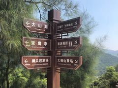 -大姆山草场