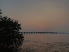 -宝安西湾红树林湿地公园