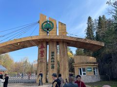 -五营红松林海景区