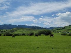 -新疆那拉提国家旅游度假区
