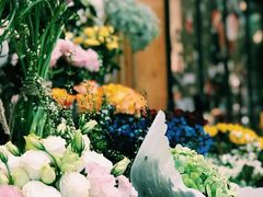 -雕刻时光咖啡馆(北苑店)