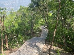 -紫金山山顶公园