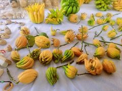 -中环花鸟鱼虫市场