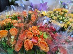 -循礼门鲜花花市(武汉循礼门店)