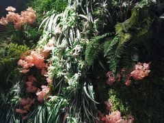 -南城十里潮汕鲜牛火锅·鲜虾生滚粥(融汇老商埠店)