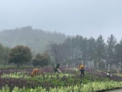 -万佛湖风景区