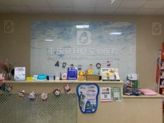 -宠颐生贝利健动物医院(谢家湾分院)