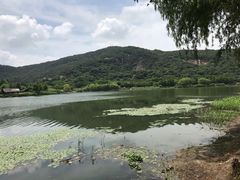 -长广溪湿地公园