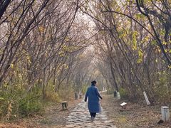 -盘龙城国家考古遗址公园