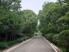 -南京市江宁方山
