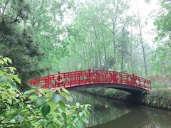 -合肥滨湖国家森林公园