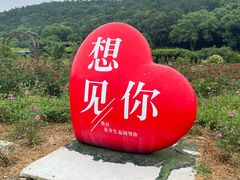 -龙寺生态园