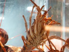 -海派悦庭·海胆烧麦·新融合菜(凯德广场店)