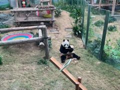 -大连森林动物园