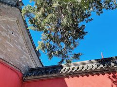 -大钟寺古钟博物馆