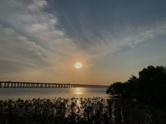 -宝安西湾红树林湿地公园