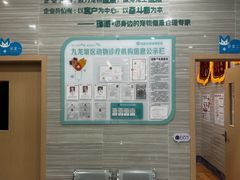 -瑞派名望志远动物医院·猫科·內科·异宠专科(直港大道店)