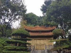 -深圳国际园林花卉博览园