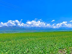 -祁连山·岗什卡雪峰景区