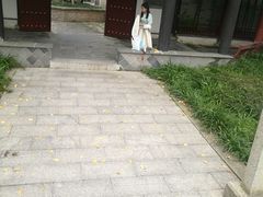 -龙潭水乡
