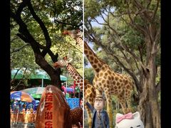 -晓港公园