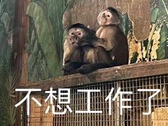 -西安秦岭野生动物园