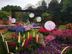 -上海共青森林公园