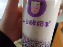 原味酸奶紫米露-一只酸奶牛(奎星楼店)