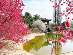 -国家植物园南园