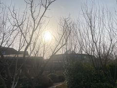 -大连金石滩绿发温泉假日酒店