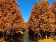 -捞渔河湿地公园