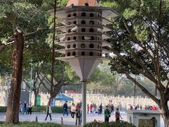 -顺峰山公园