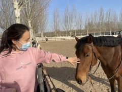 -北京群众马术培训基地