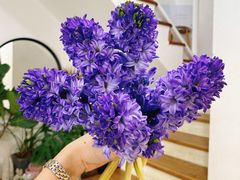 -森野花艺培训·企业团建活动沙龙