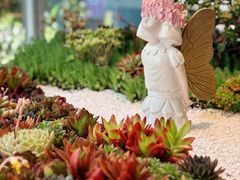 -春树下·树屋花房西餐厅(罍街AS1980店)