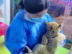 -栾川竹海野生动物园