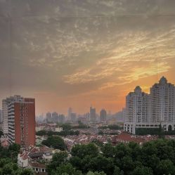 -海豚湾高端月子会所(黄浦店)