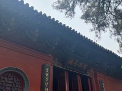 -洛阳白马寺