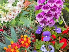 -人民公园(罗湖区)