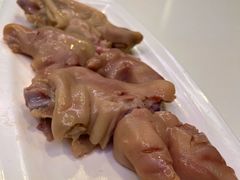 -丁老爷子苏香圆