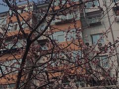 -梨园(地铁站)