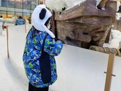 -世界之窗阿尔卑斯冰雪世界