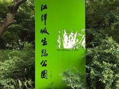 -西湖风景区-江洋畈生态公园