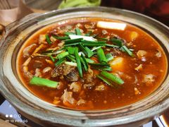 牛肉三鲜锅-肖记公安牛肉鱼杂(田林路店)
