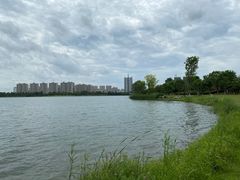 -桐乡凤凰湖